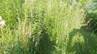 Sporty twink boy gives a public blowjob to mature gigantic dick on the wild beach, til cum overflows