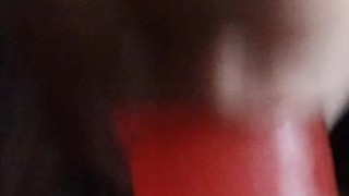 Is your puppy doing a good job? ^-^