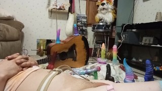 Dragon toys and sprinkles