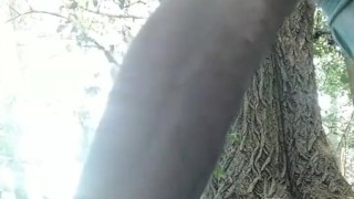 Sesión 10 en público