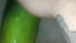 Cucumber