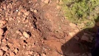 Je baise ma soumise rapidement dans les champs FRENCH AMATEUR