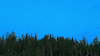 Tattooed brunette slut goes skinny dipping