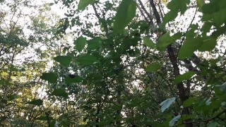 We caught our neighbor masturbating against a tree and we started masturbating too - IkaSmokS