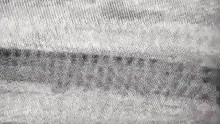 JasonSparksLive Sex god Jordan Starr creampies smooth twink anus