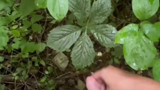 masturbation in abandoned areas digger nature