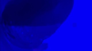AMATORIALE (SEGA IN DOCCIA) - Ragazzo ITALIANO si SEGA in DOCCIA