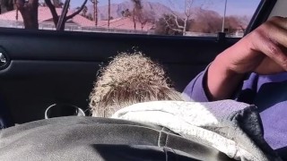 Suck the head of that dick
