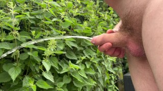 Peeing after masturbating