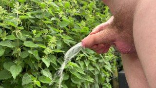 Peeing after masturbating