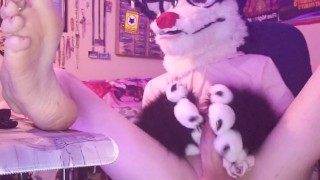 Artemis pawing off for the first time :3