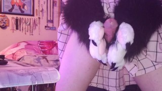 Artemis pawing off for the first time :3