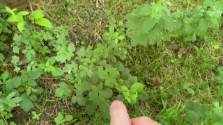 Peeing compilation with huge cum shot