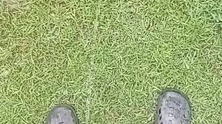 Another long pissing video