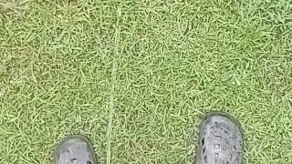 Another long pissing video