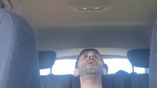 Paja en el asiento de atrás del coche