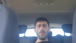 Paja en el asiento de atrás del coche