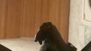 MASTER BULLY KATO IS BACK ! SUBSCRIBE LIKE COMMENT AND DONATE (