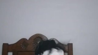 Quiero que me pongas así en cuatro y me folles dándome nalgadas eso me pone muy cachonda