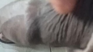 Asava