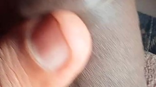 Cock Up