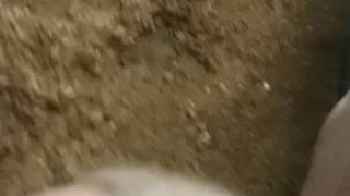 Jangle cum