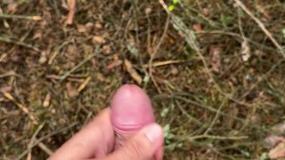 Fett Abspritzen in Brandenburg 💦