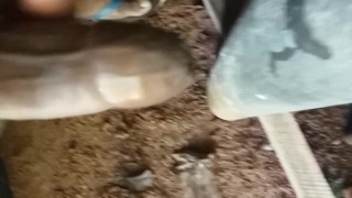 In the cum down pipe