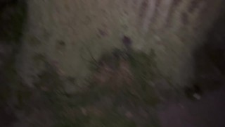 All day peeing compilation