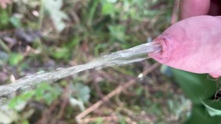 All day peeing compilation