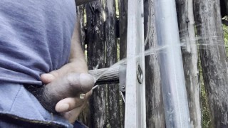 Pissing on top of a ladder while working in the jungle