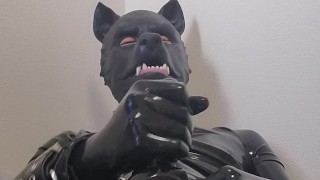 ラバー犬がオナニー