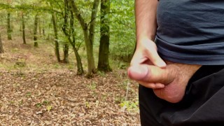 Four big cumshots on a row on a path in a beautiful forest