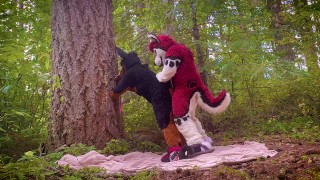 The Dog Days of Summer