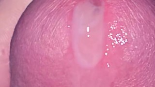 C.U.M.S - Close Up and Motion Slowed - Solo Cumshot #8