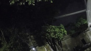 Pissing in the street