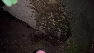 Desperate morning pee I had to find a tree to pee on