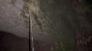 Desperate morning pee I had to find a tree to pee on