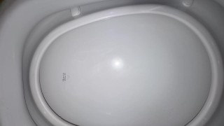 Transformed into stepdads toilet