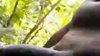 Mr Showtime69 flashes his Big Black Cock in public