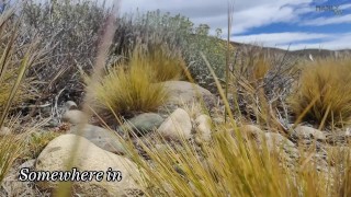 Premium preview - REDLINER - High octane foot fetish - Pedal pumper series