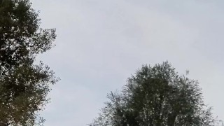 Pissing near the road