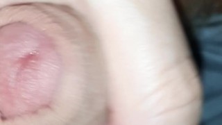 Член этого ненасытного мишки так близок, что может попасть в твою дырочку. Медведь соло дрочит