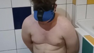 tied up pup pisses himself, couldn't hold it until his master comes home | pup piss part 1