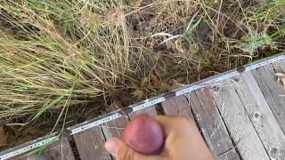 Getting lost in the woods and Busting a fat one on the trail