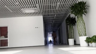 Rxlx Walking naked through an office building 2