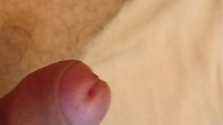 Ass licking, fingering, cock masturbation, loud moaning