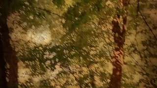 Just a walk in the woods
