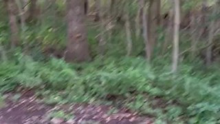Nature walk with public flashing dick and buttocks ordered by Queen