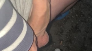 Outdoor Walking Show